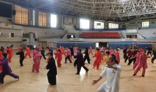 陈氏太极拳老架二路 陈氏太极拳老架二路