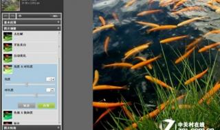 在线ps照片处理 在线ps照片处理