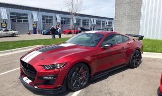 福特野马gt500价格 福特野马gt500价格