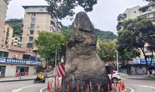 万州青龙石 万州青龙石